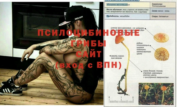 прущая мука Няндома