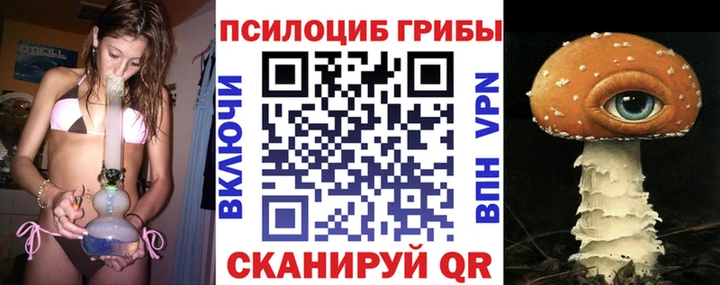 Купить где  Одинцово  Псилоцибиновые грибы Cubensis 